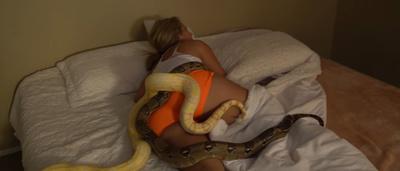 Avoir Images Il Reveille Sa Petite Amie En Deposant Deux Enormes Serpents Dans le plus cool par