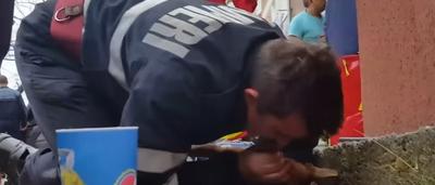 Un pompier acclamé en héros après avoir fait du bouche à bouche à un chien (vidéo) - sudinfo.be