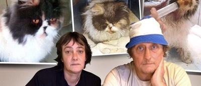 Charleroi Notre Chat Est Mort A Cause D Un Detartrage Sudinfo Be Charleroi Notre Chat Est Mort A Cause D Un Detartrage Sudinfo Be