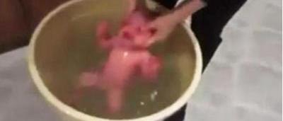 Facebook Refuse De Retirer La Video D Un Enfant Maltraite Sudinfo Be Facebook Refuse De Retirer La Video D Un Enfant Maltraite Sudinfo Be