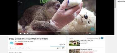 Ce Bebe Paresseux Ne Lache Jamais Sa Peluche Meme Pour Boire Son Biberon Video Sudinfo Be