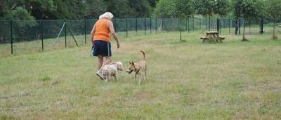 Aywaille ouvre le premier parc canin de la région liégeoise 