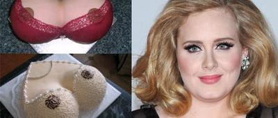 Pour Le 24e Anniversaire D Adele Rihanna Lui Envoie Un Gateau En Forme De Seins Sudinfo Be