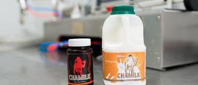 Chamelait, Distributeur de Lait de Chamelle en France - Paris halal
