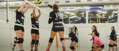 Volley quatre plans pour la reprise en Hainaut sudinfo.be