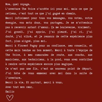 Déception pour l’un des talents belges de « The Voice » (TF1), qui ne participera pas à la finale 100 % masculine : voici les quatre finalistes